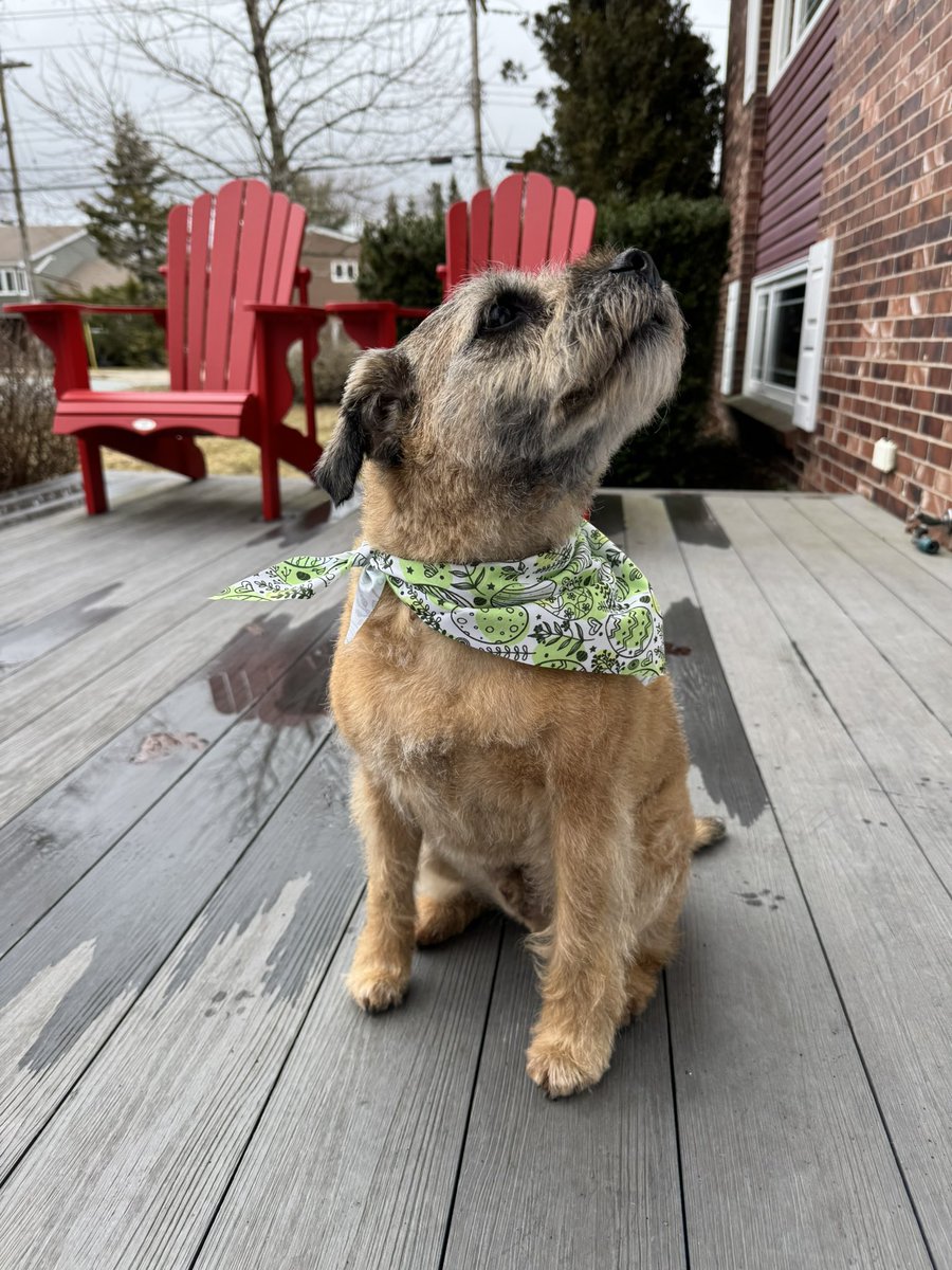 Hubble, Sir, OBE ๐จ๐ฆ tweet media