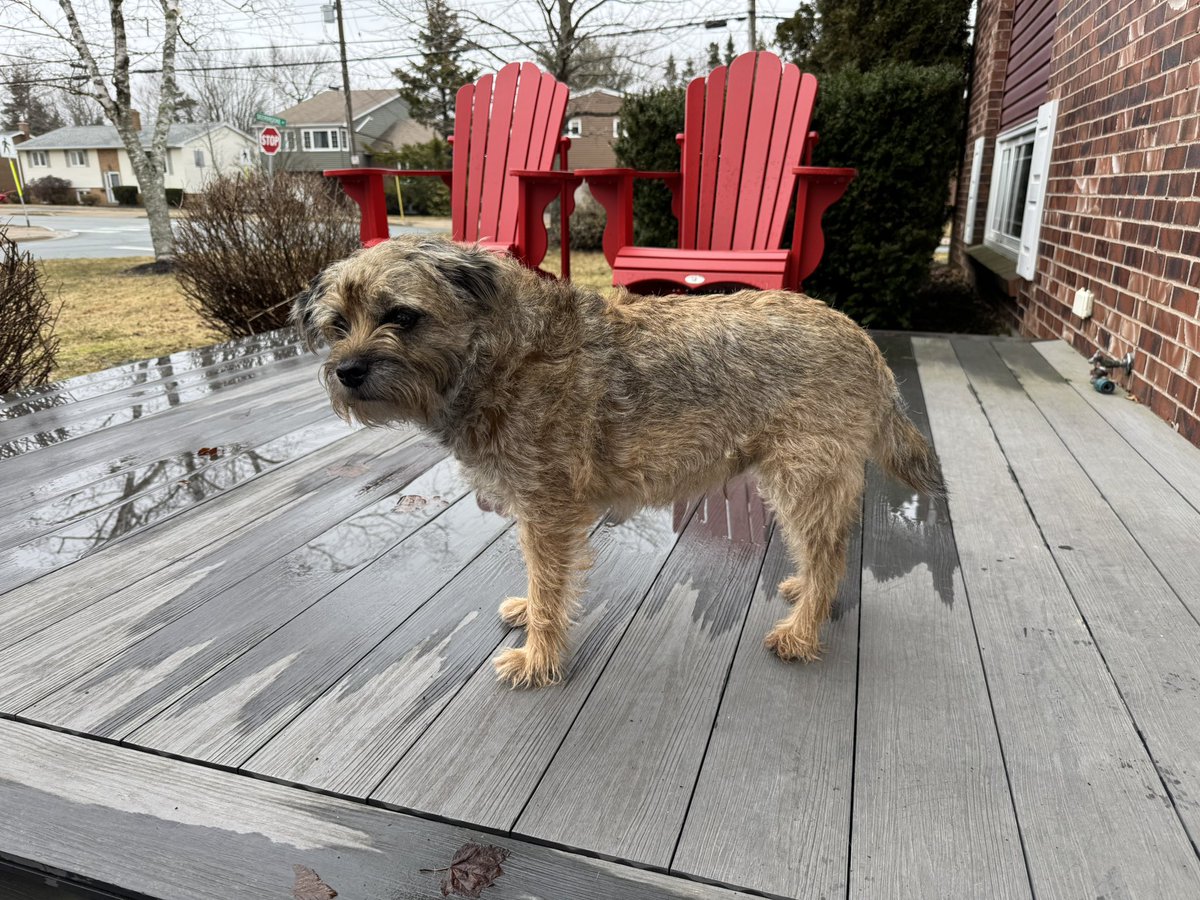 Hubble, Sir, OBE ๐จ๐ฆ tweet media