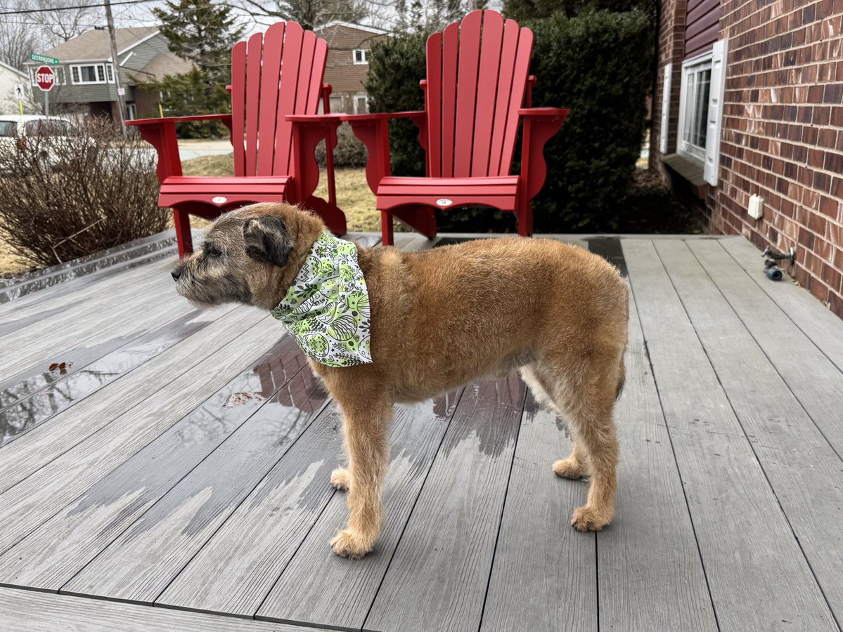 Hubble, Sir, OBE ๐จ๐ฆ tweet media