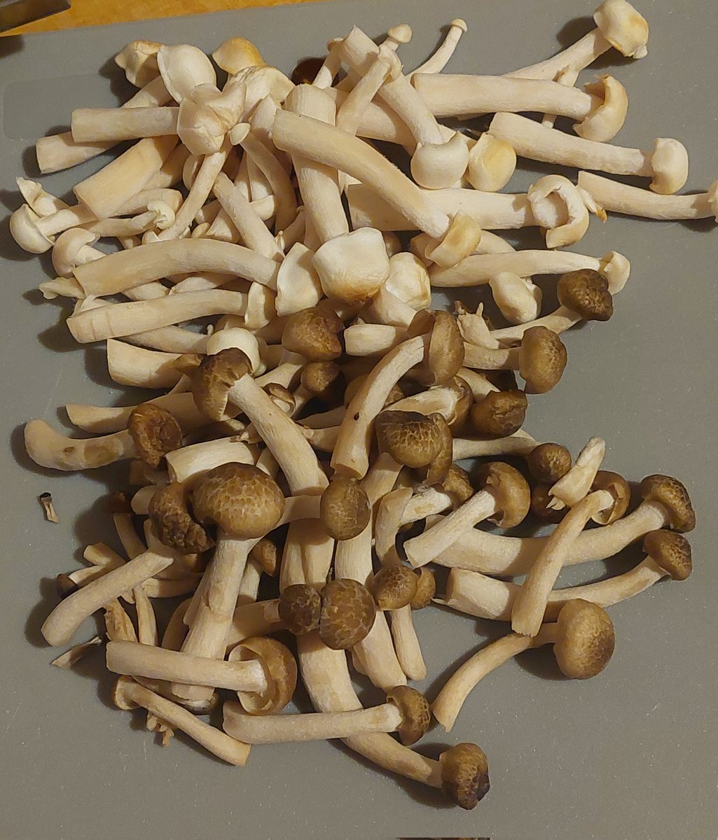 Alberto 🇫🇮 tweet media