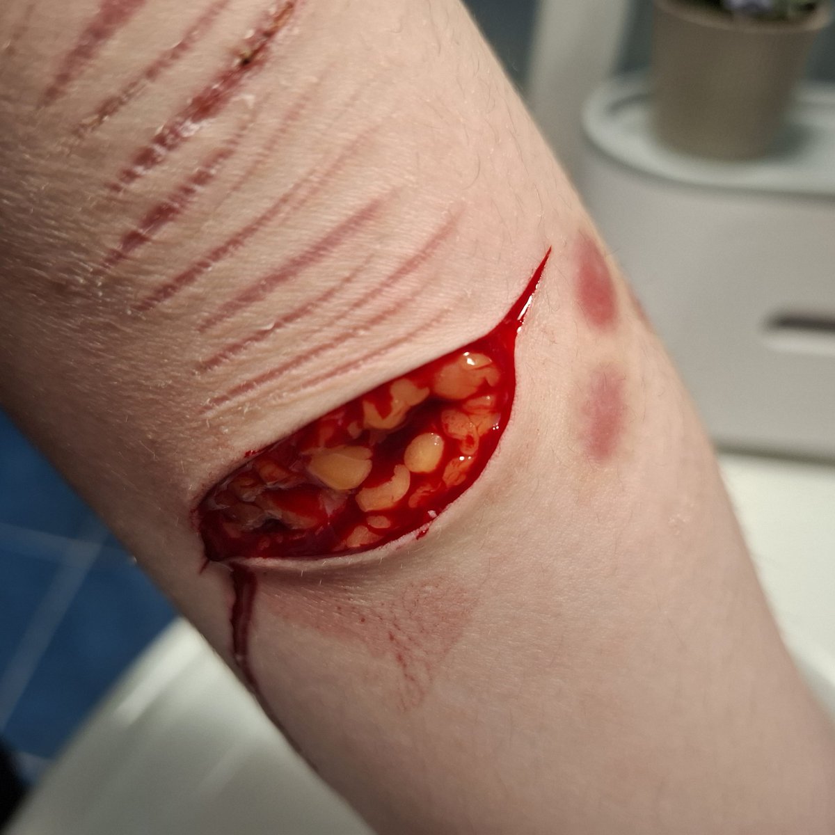 nijika of shtwt tweet media