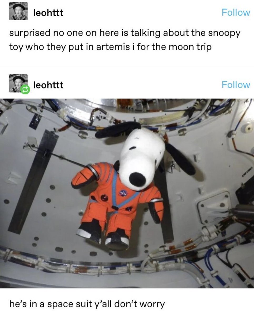 ͙͘͡ ❀ bean 𝜗𝜚˚⋆ tweet media