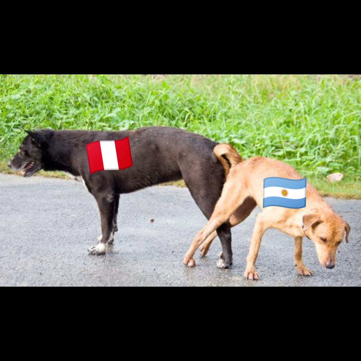 Cuauhtémoc ⚔️🇲🇽⚔️ tweet media