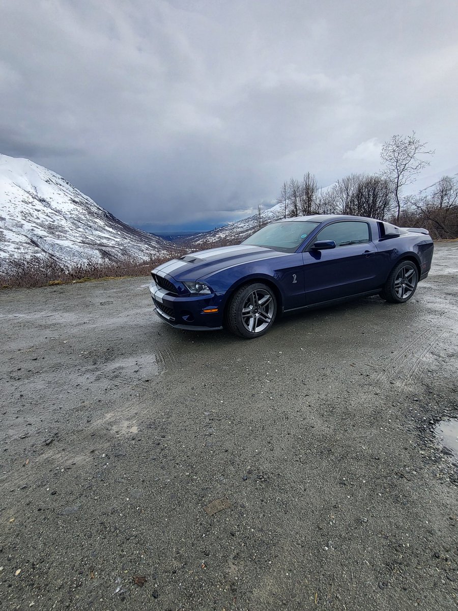 One Wish🇺🇲🏔🐕🎧🏋🌼 tweet media