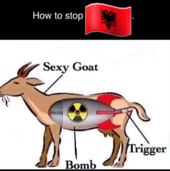 ℂ⋆ Tiranovic tweet media