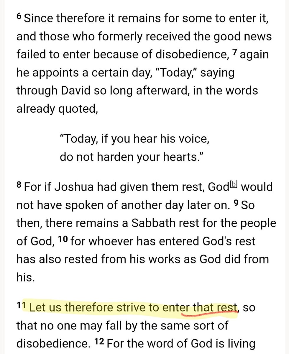 AmorProximi tweet media