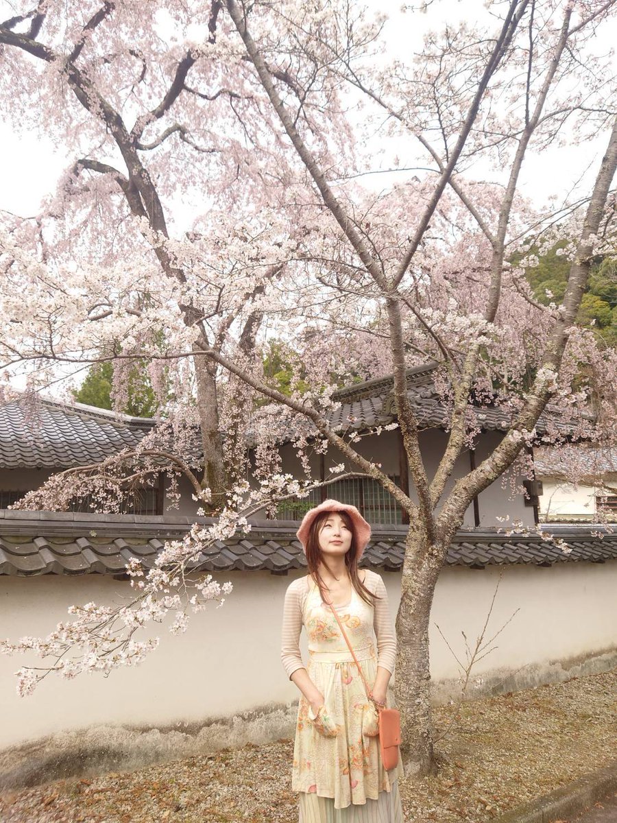 ヒサ絵情報 tweet media