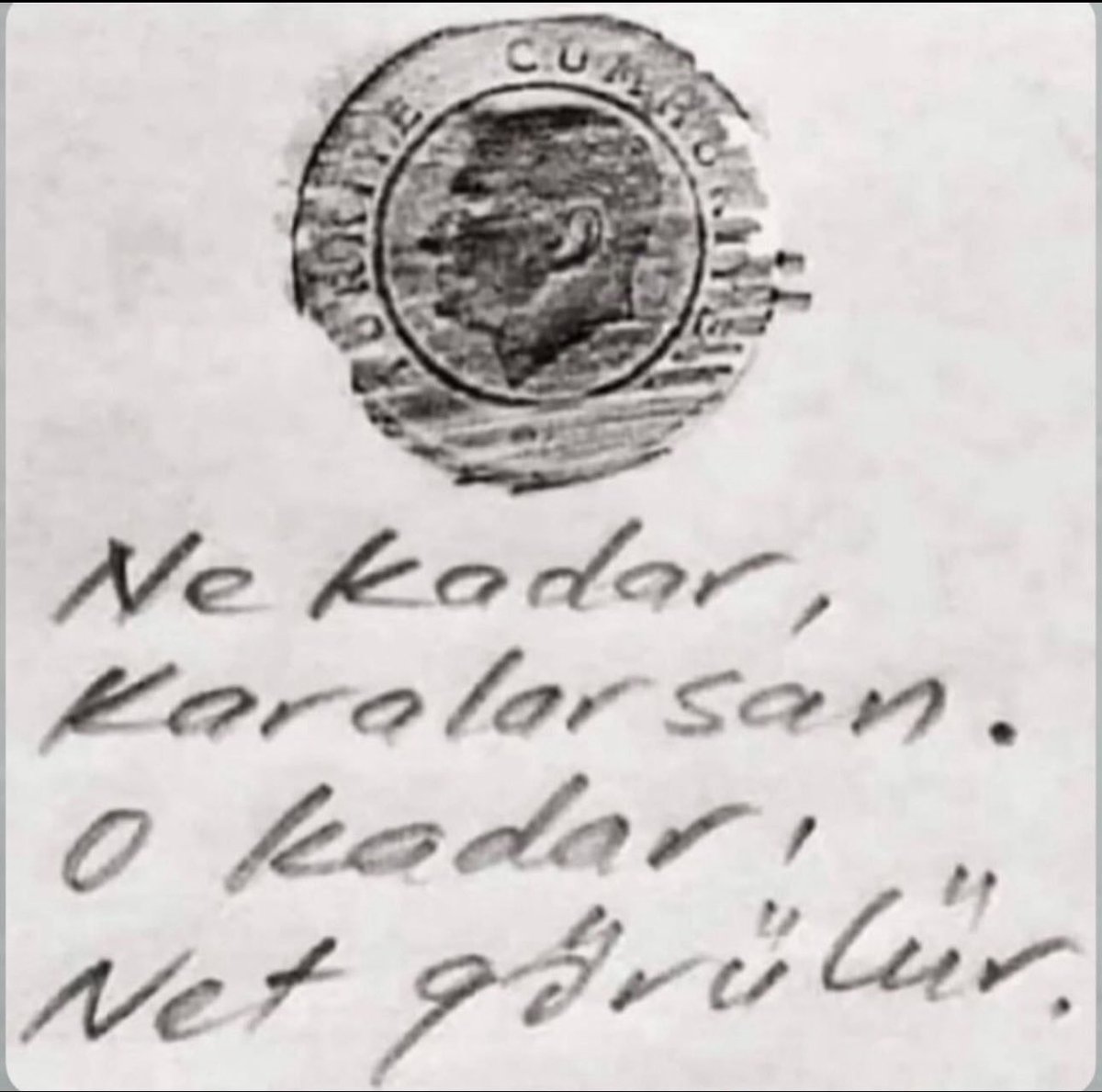 🦋Tugba🦋 tweet media