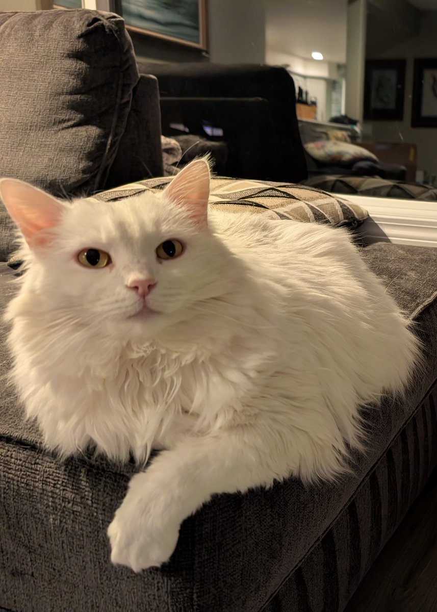 Boblobaw tweet media