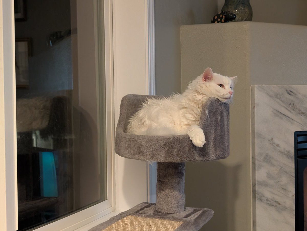 Boblobaw tweet media