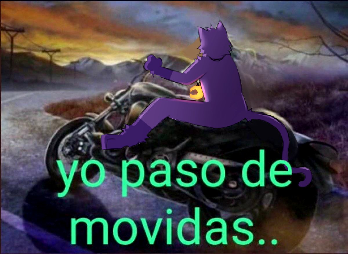 Lowis 🐤 tweet media