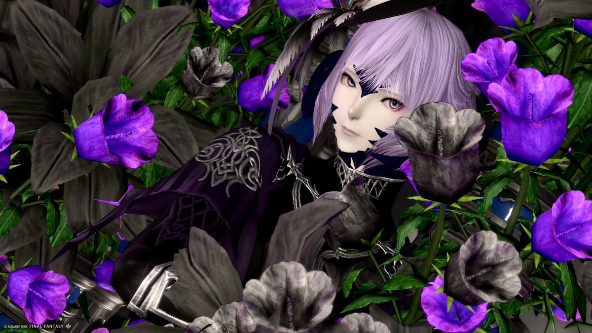 𝙺𝚊𝚗𝚊🐕 ͗ ͗ tweet media