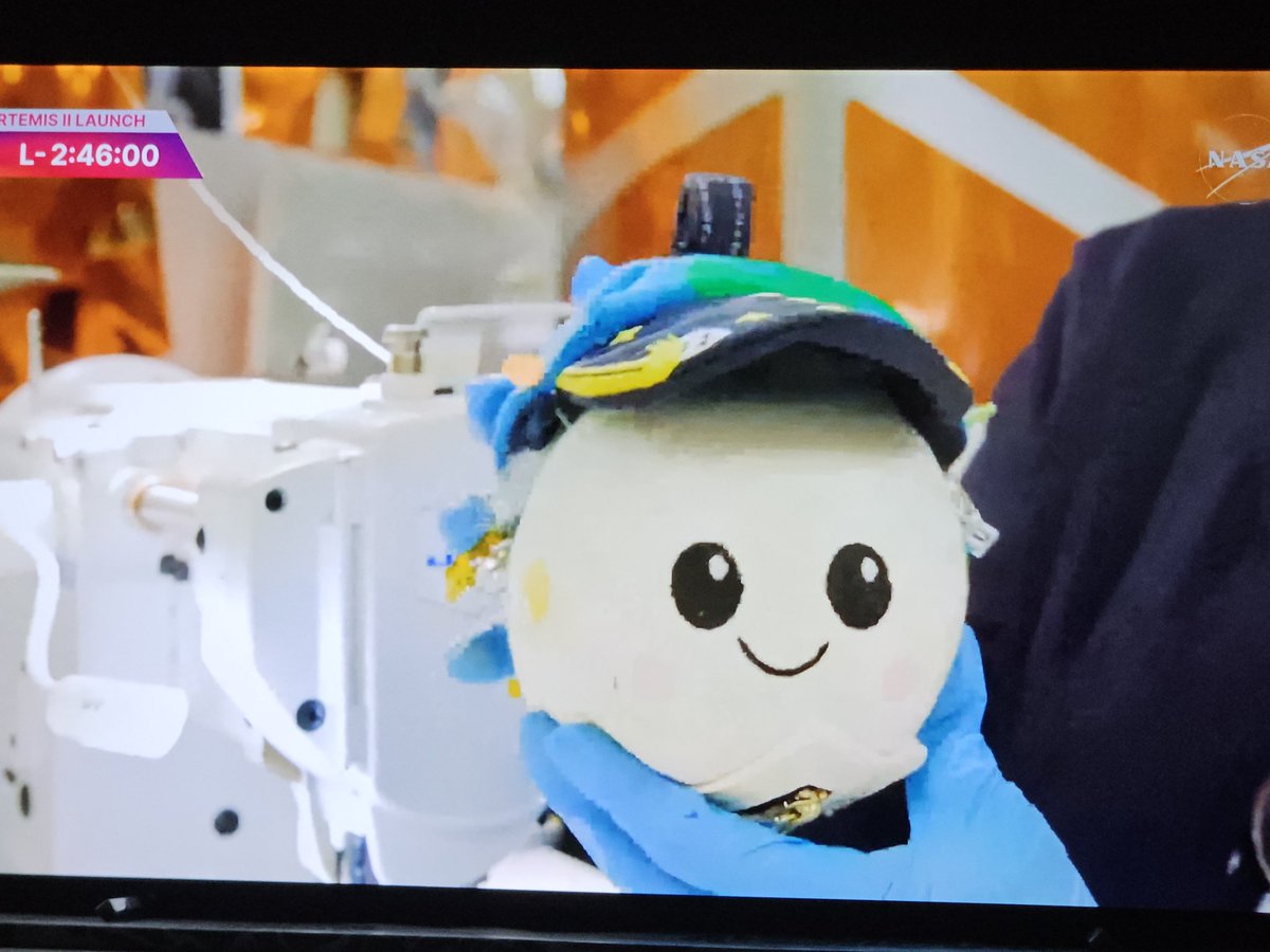 David de la Iglesia 📷 🍉 tweet media