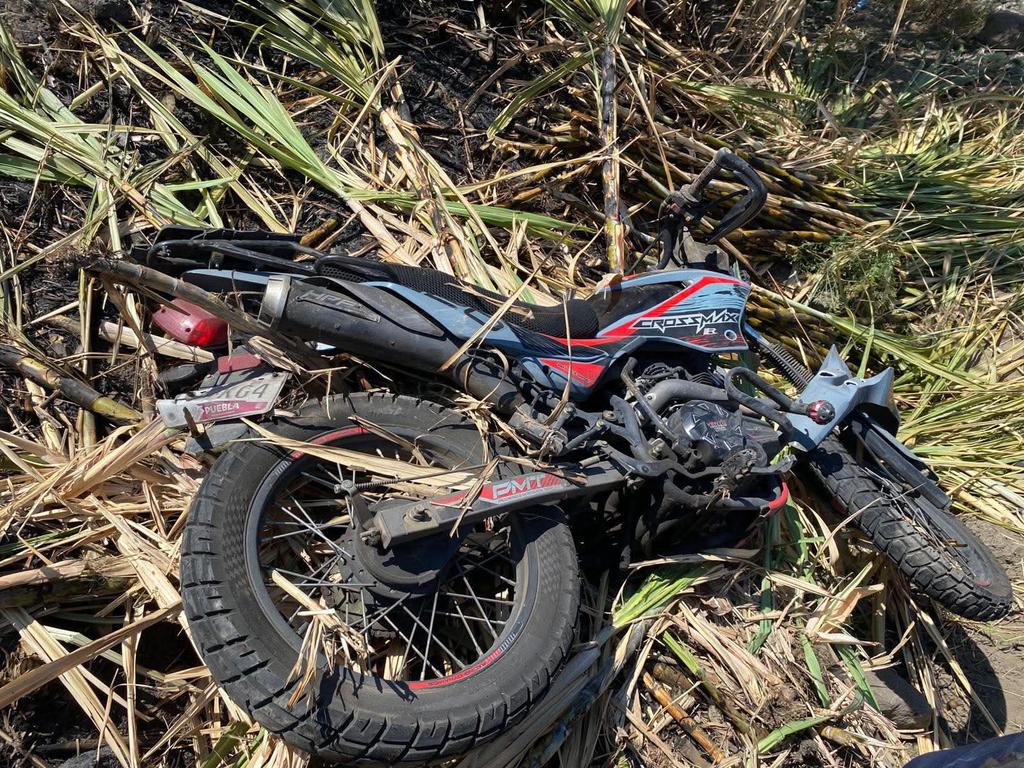 Angelina Bueno tweet media