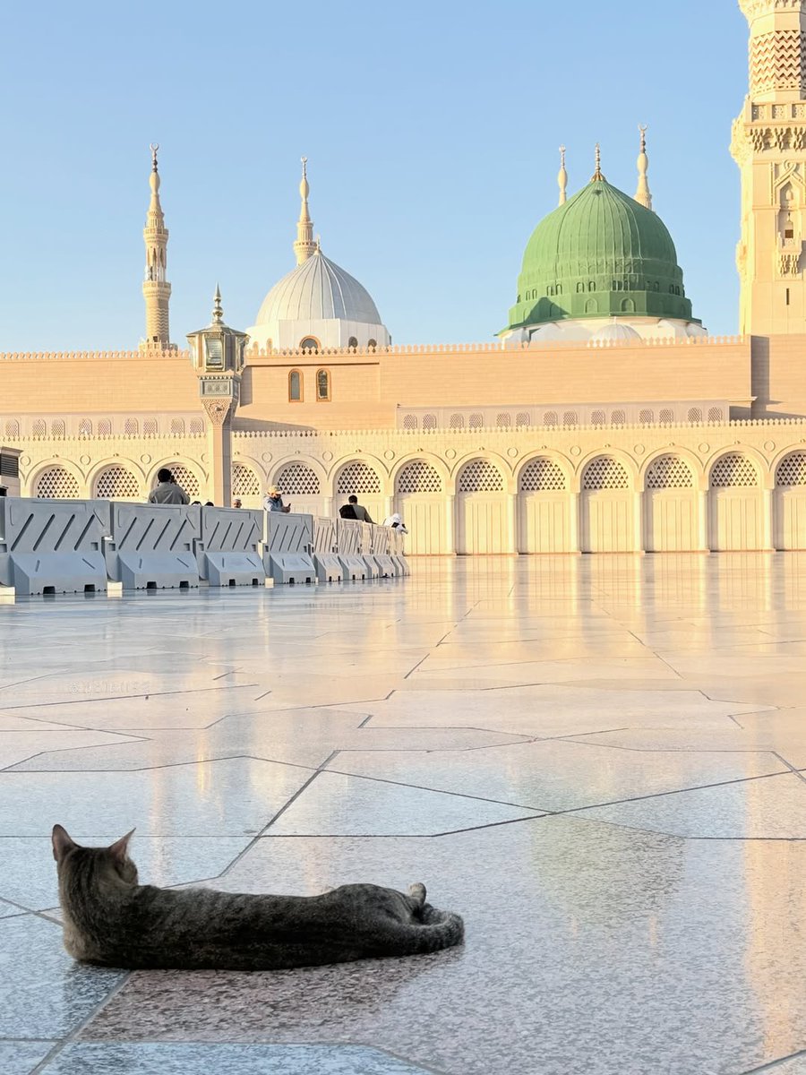 Saudi News FR 🆇 tweet media