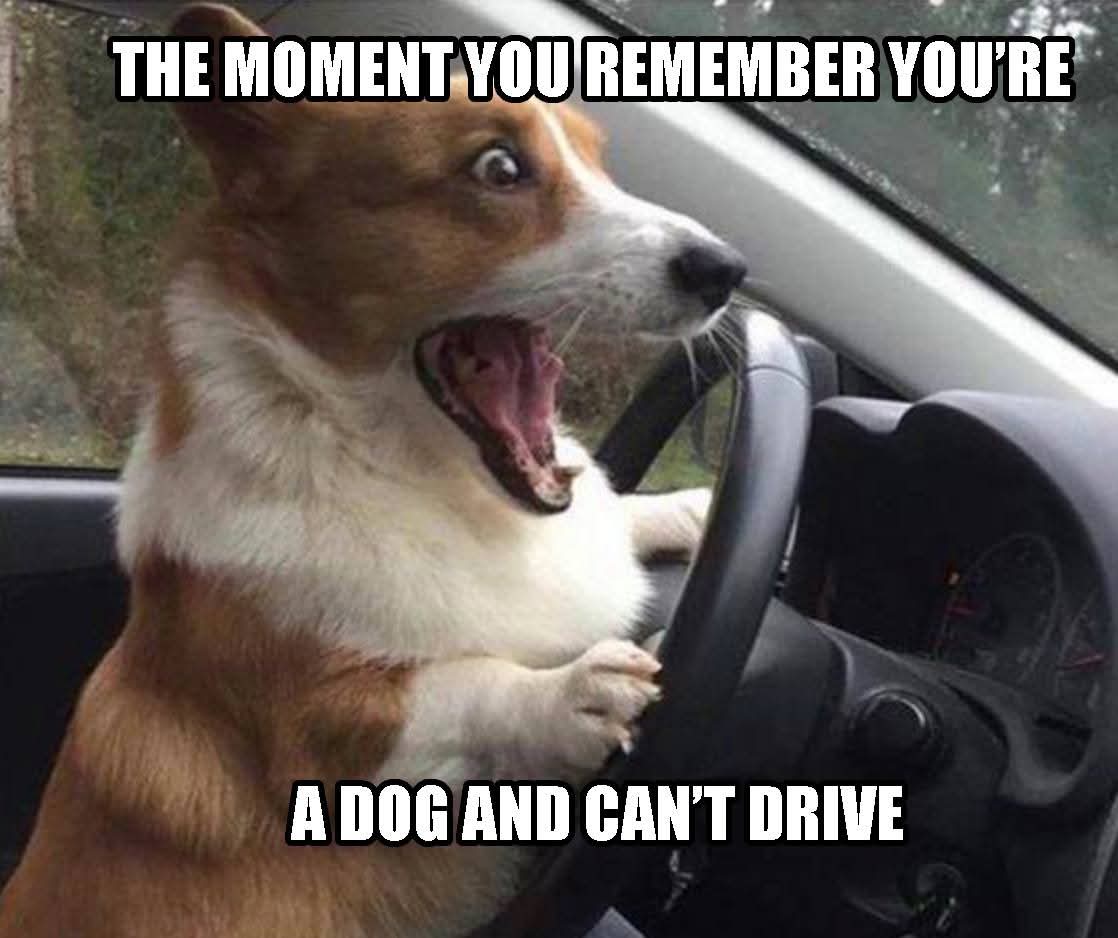 Freeways of Los Angeles tweet media