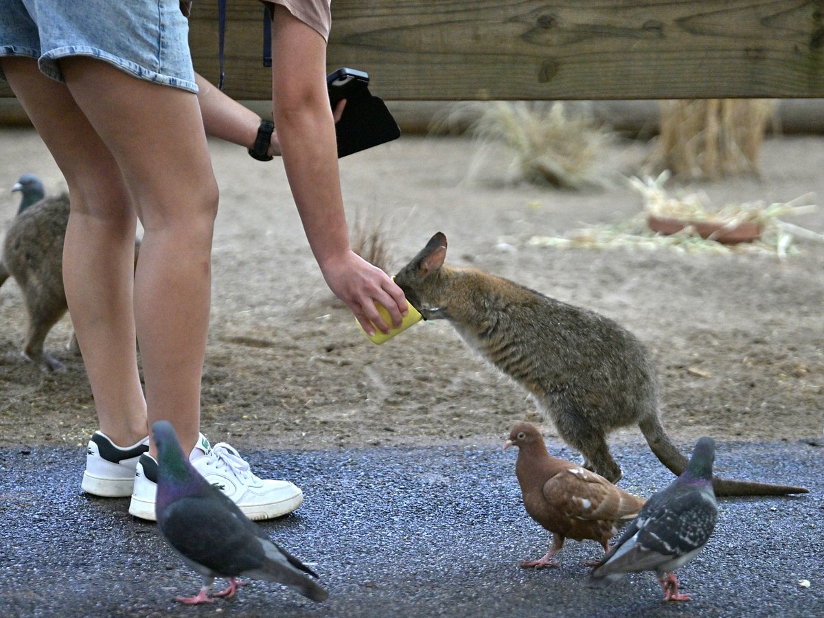 都築英哲 tweet media