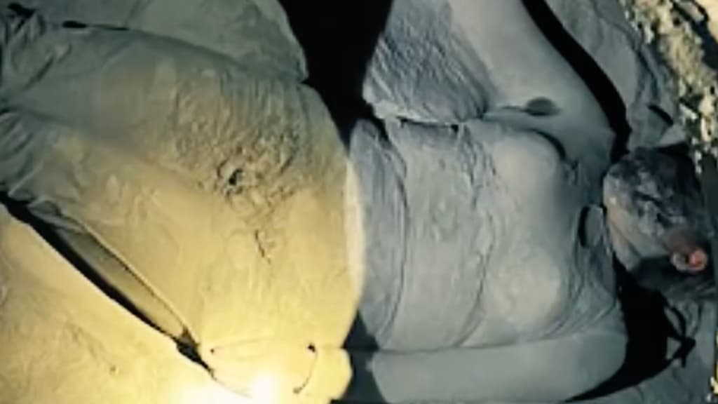 Eco_1_LVM tweet media