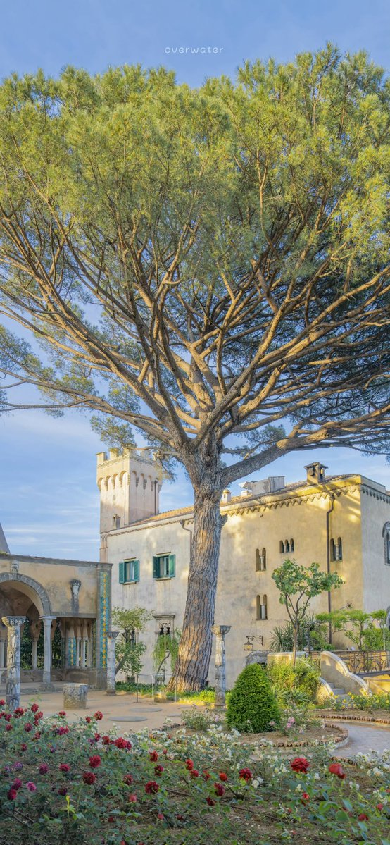 only aesthetic tweet media