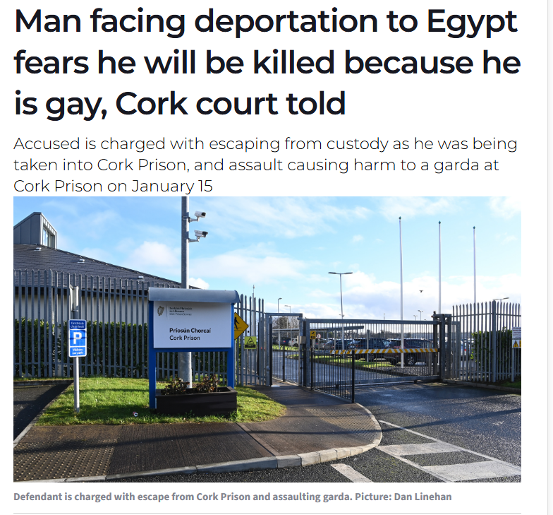 amanda 🇮🇪 tweet media