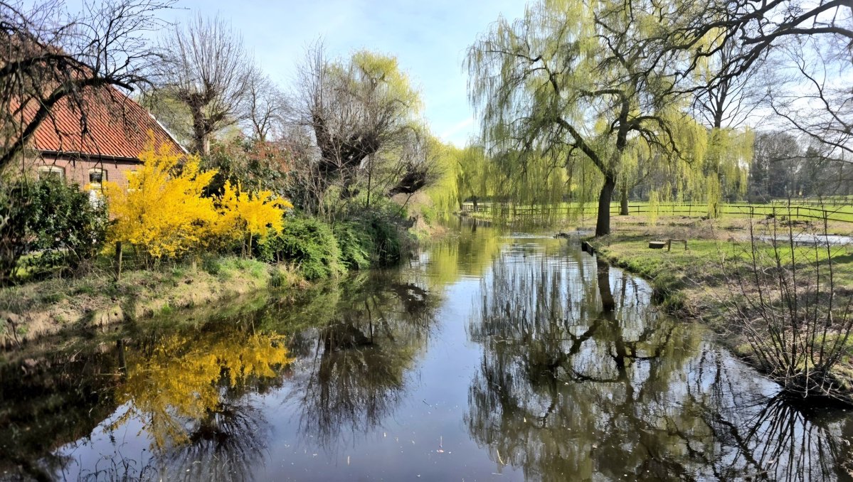 Harald Doornbos tweet media