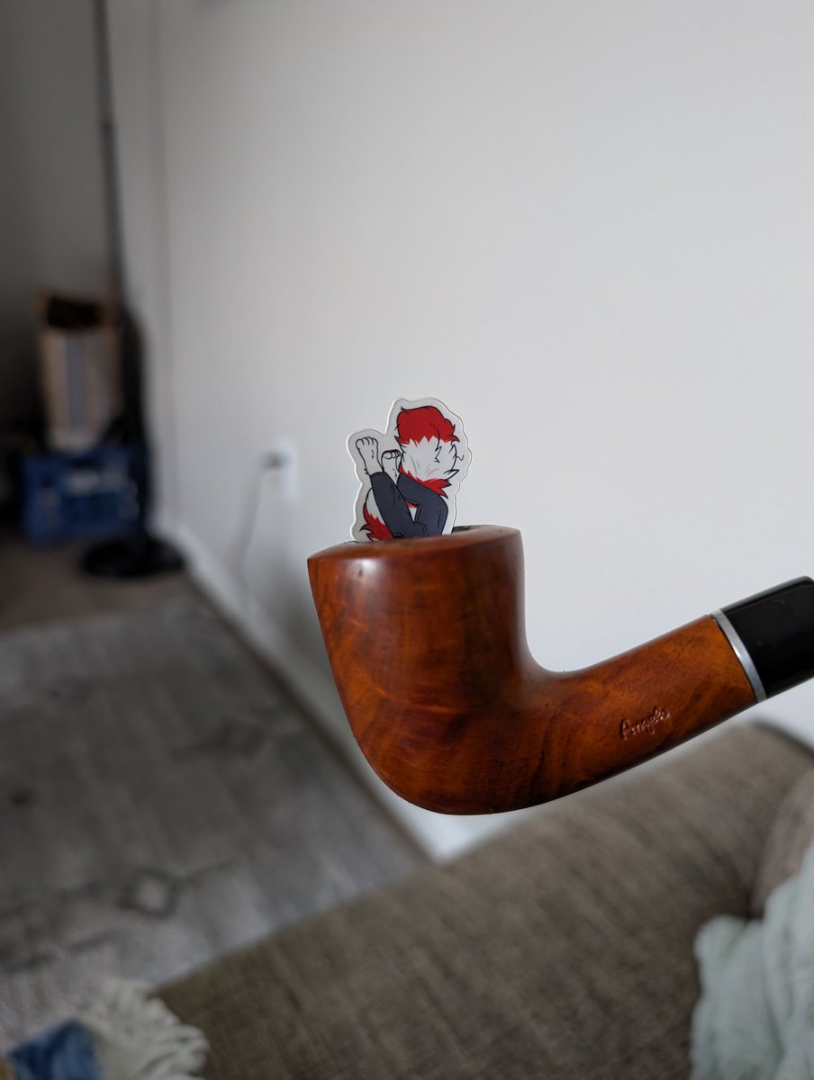 Jackacoon tweet media