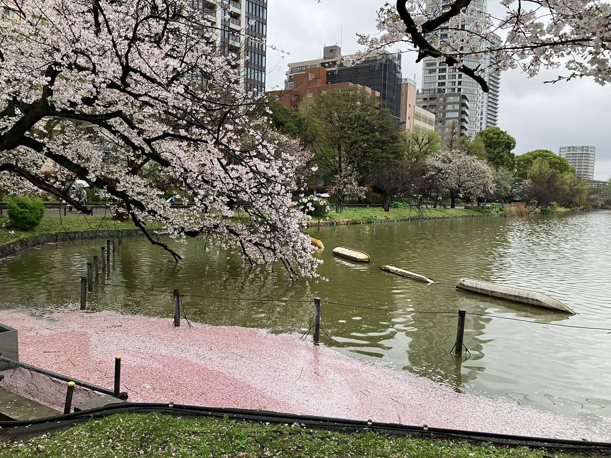 福島ピート幹夫 tweet media