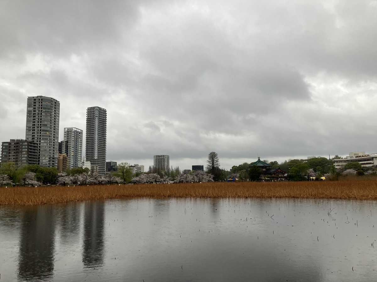 福島ピート幹夫 tweet media