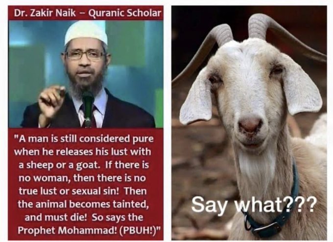 Frozen Out tweet media