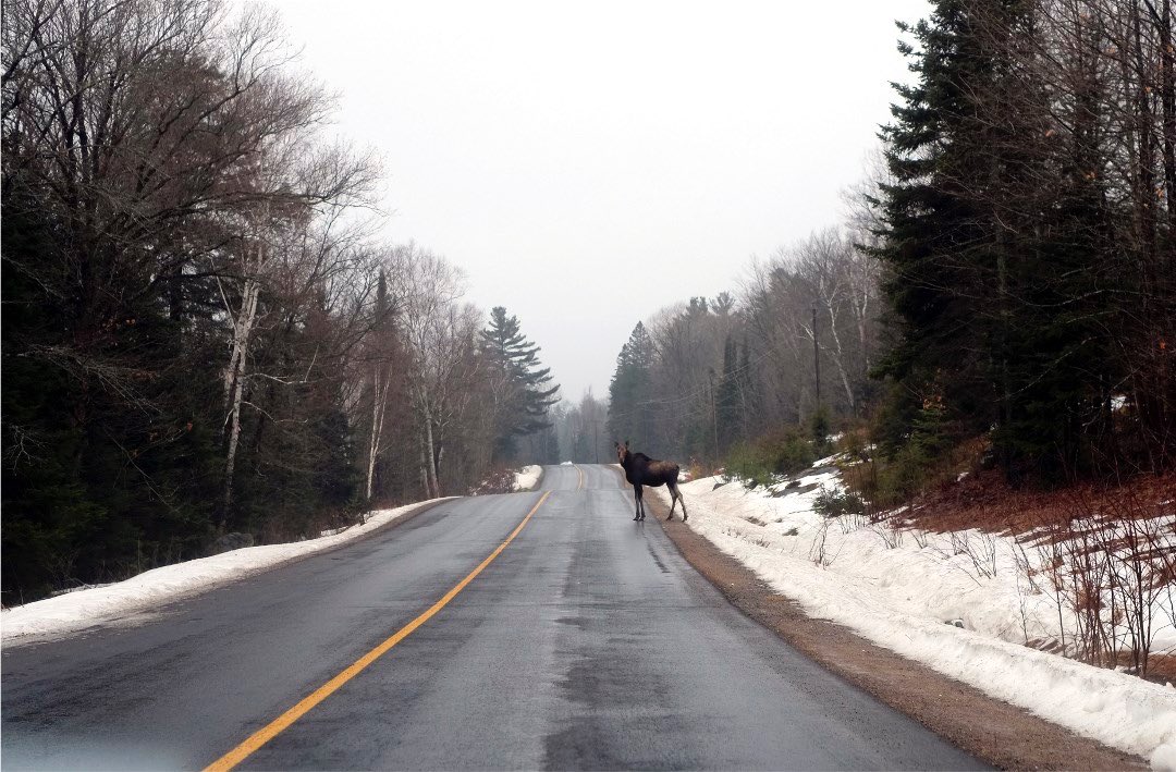 Mikesjournal tweet media