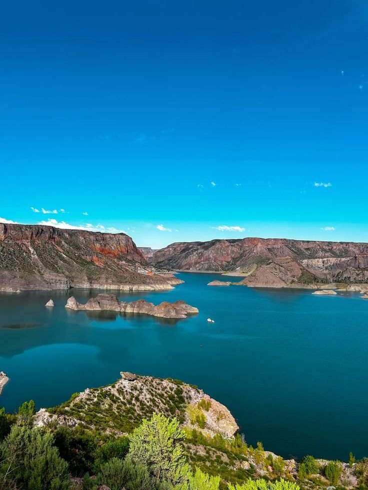 Martina 🇦🇷 tweet media