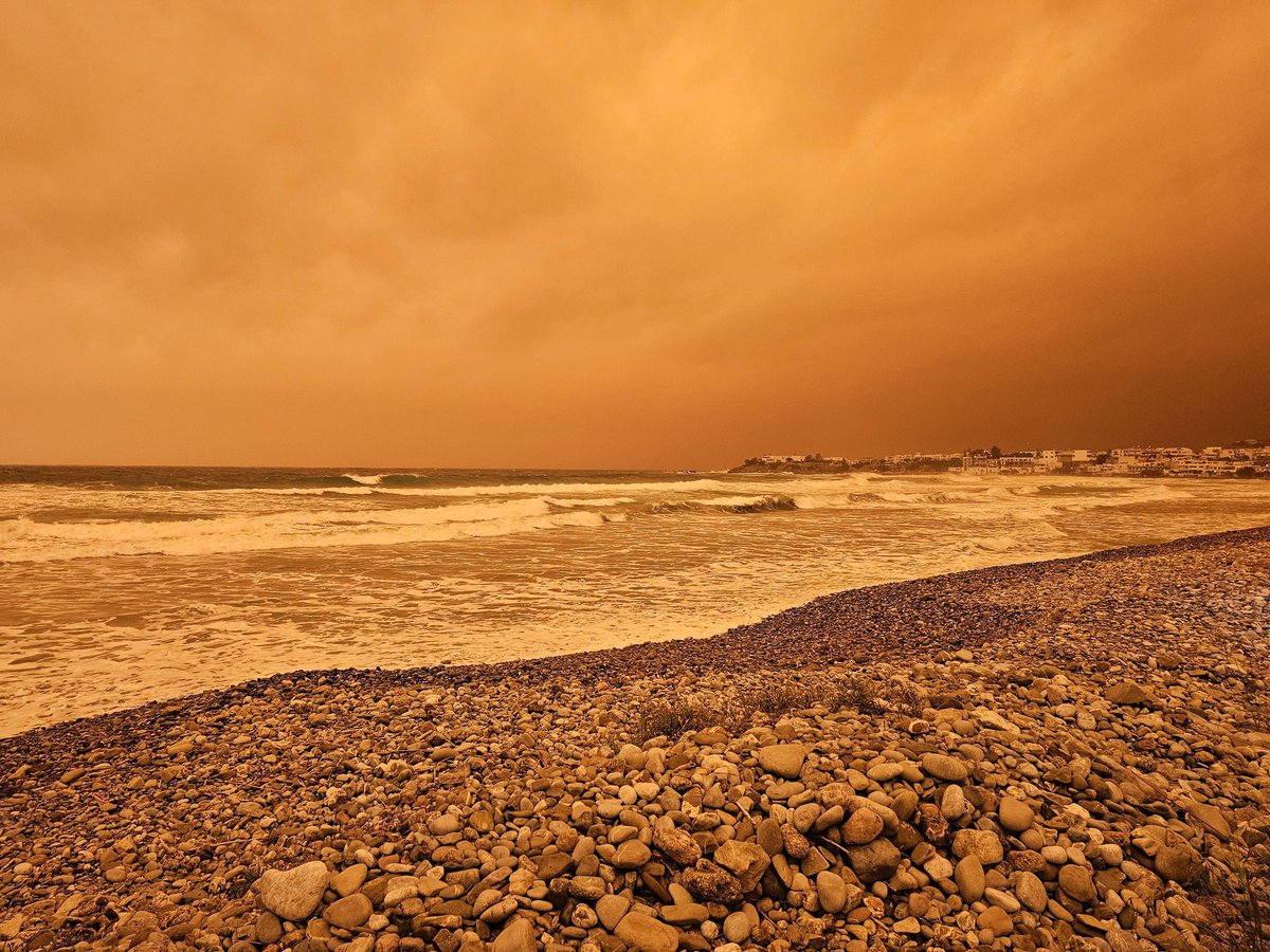 hosni kambout tweet media