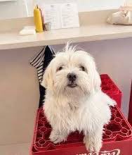 maldidown tweet media