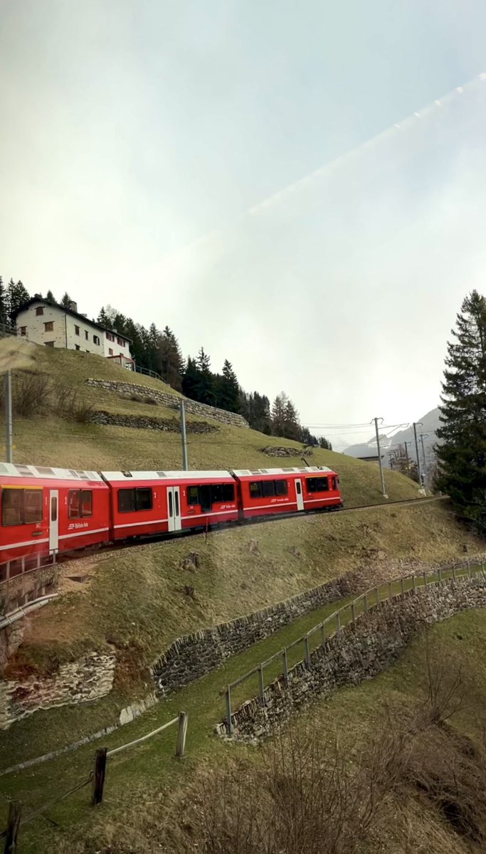 Austria with me tweet media