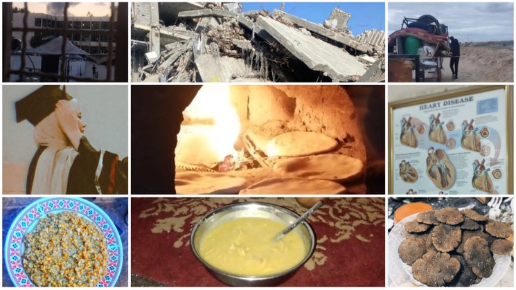 kaye 🏳️‍🌈 🇵🇸 tweet media