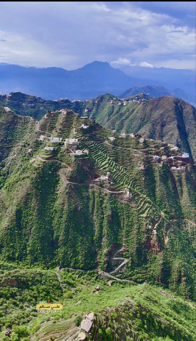 Ali Barbod tweet media