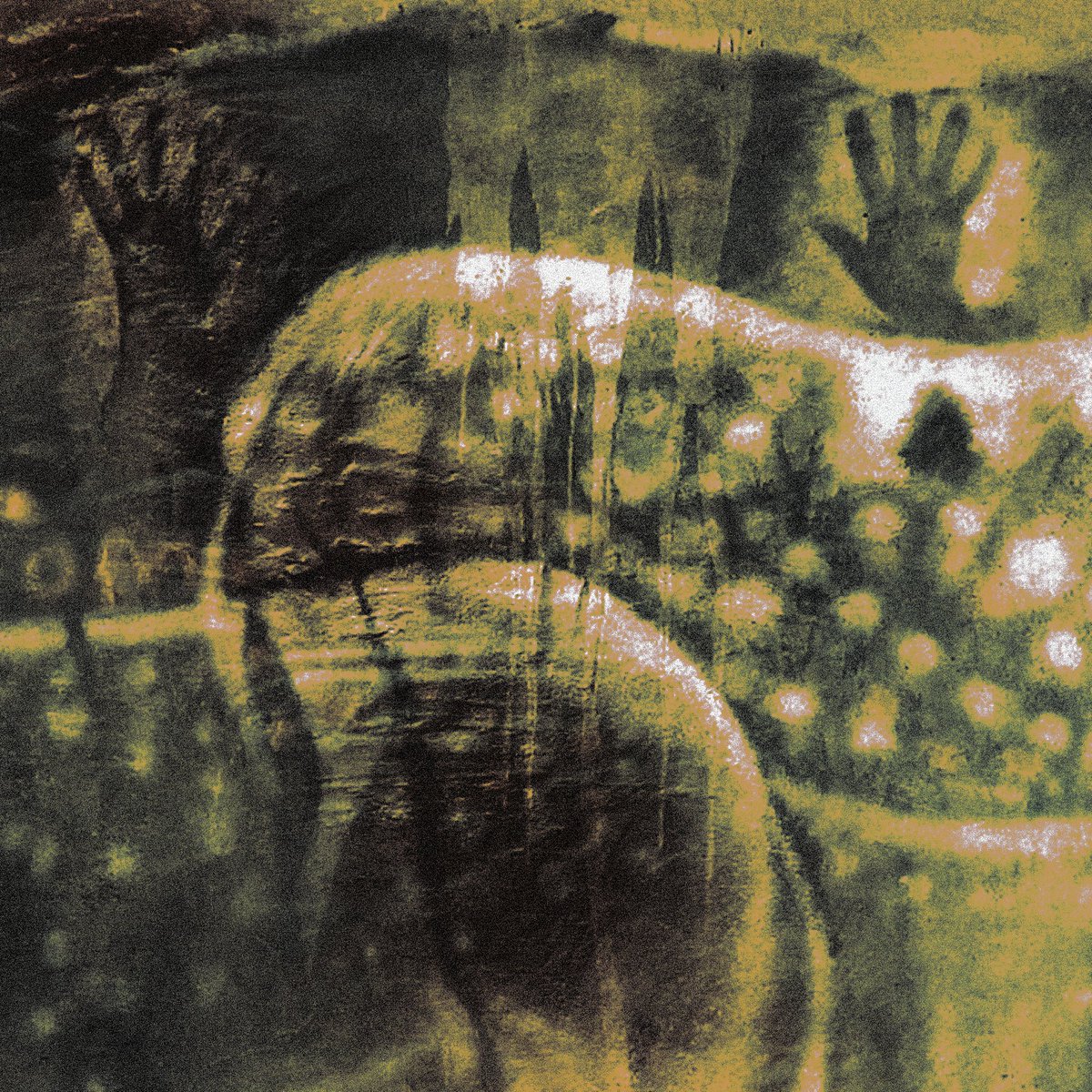 tucker 🪱 tweet media