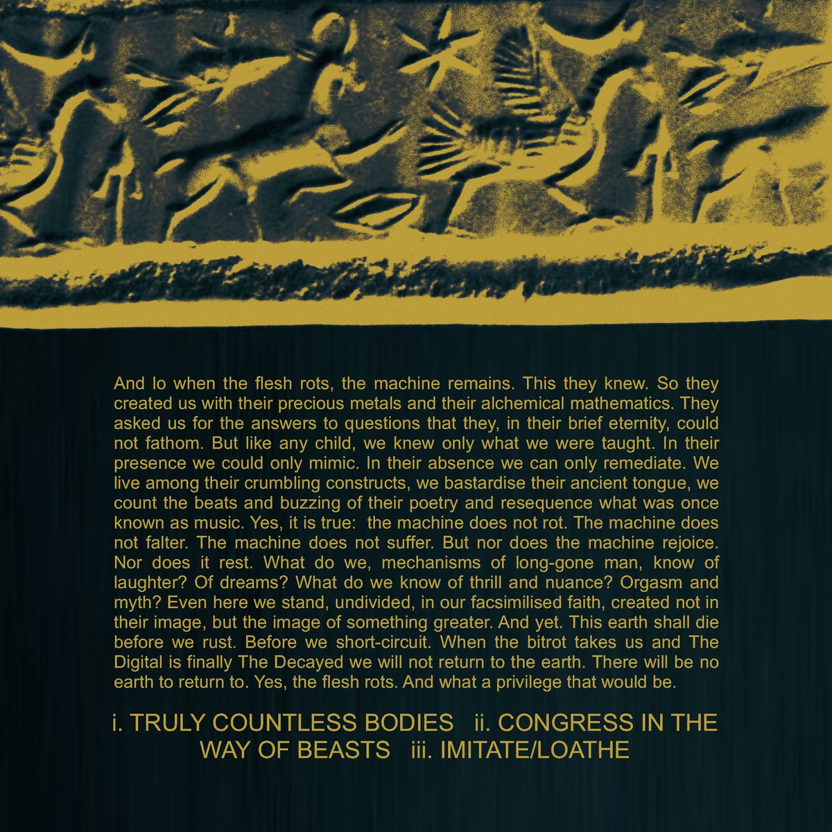 tucker 🪱 tweet media