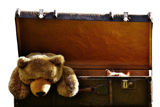 Jonathan Hansen tweet media