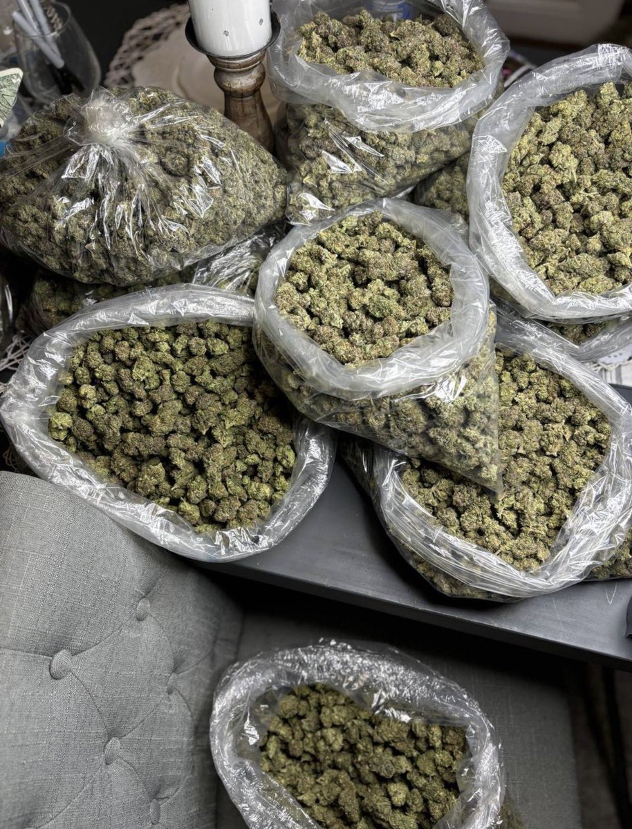MainPlug25's tweet photo. Greensboro &amp; Durham 💥🌿🥦 exotics ZAZA crazy FIRE plug weed bud Loud gas dank nugs packs trees 🍃 cop tonight 👀 #Weed #Gas #Greensboro #Durham https://t.co/IDl5N5mh6F