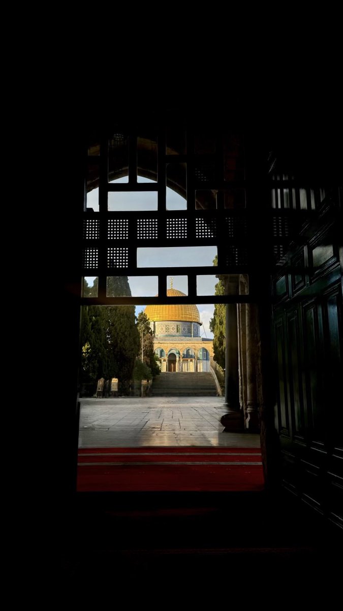 شـام tweet media