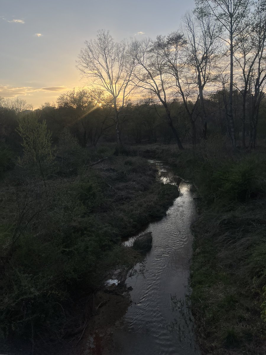 ๐๐๐ โ
tweet media