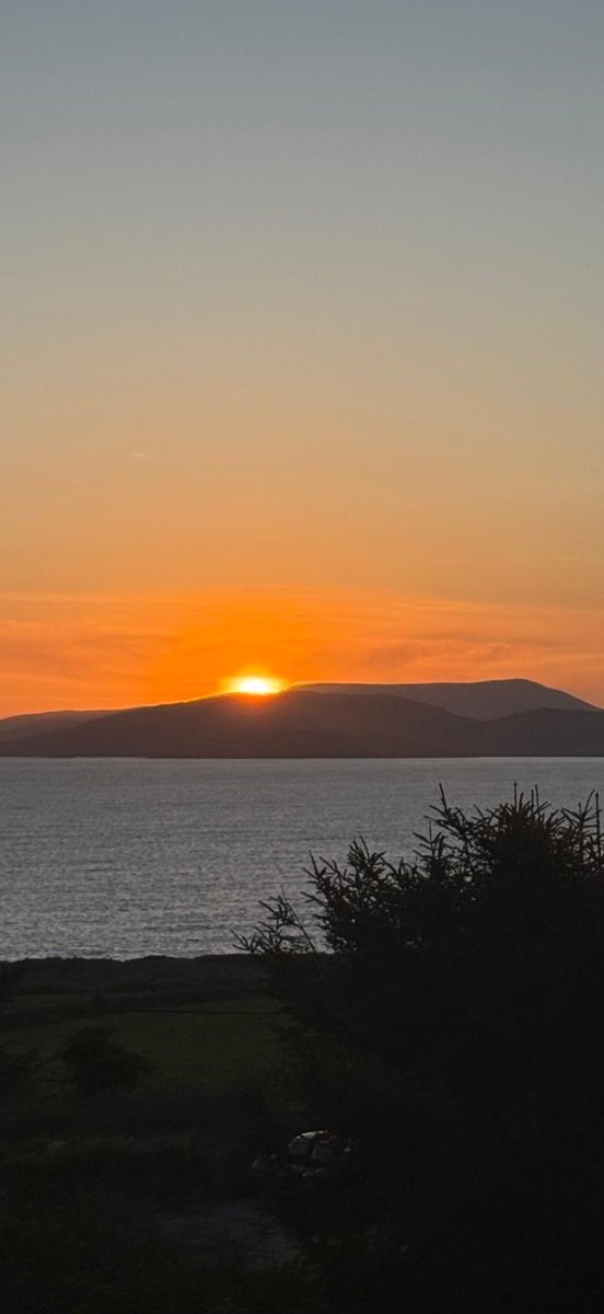 tony hourihan tweet media