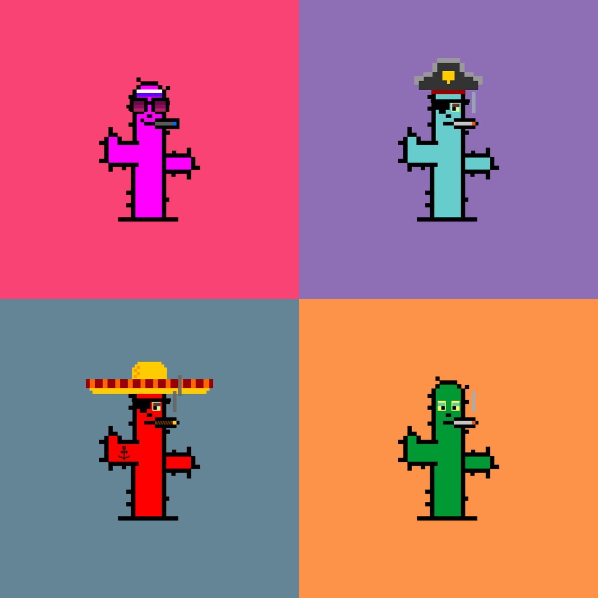 🌵 CryptoCactus Family 🌵 tweet media