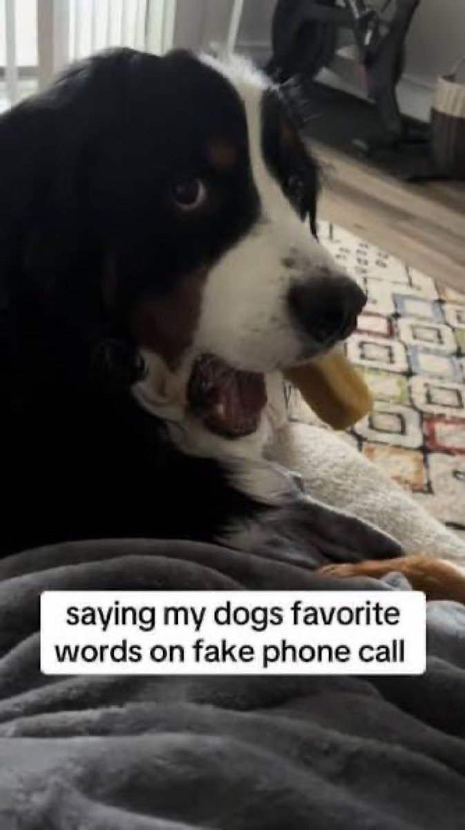 eriberry 🍒, lesbian for shane hollander tweet media