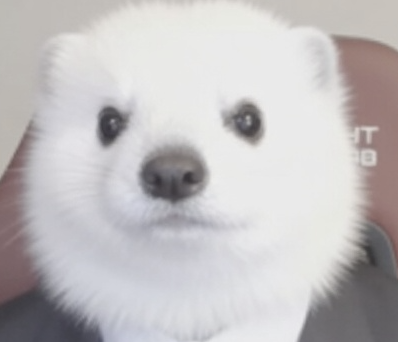 Friendly Dev tweet media