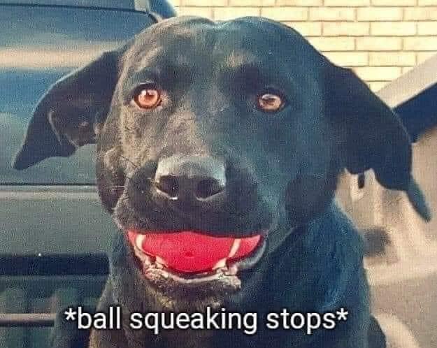 nana 🌺 tweet media