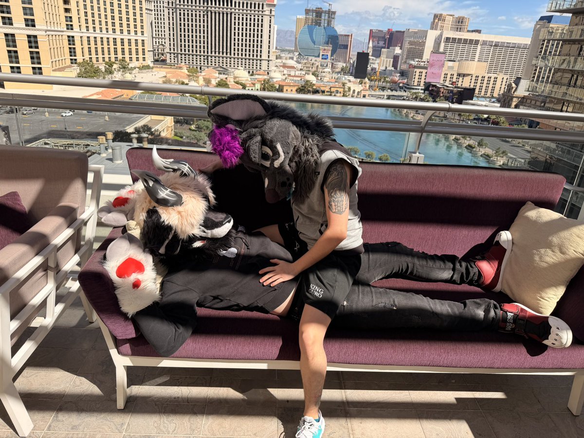 Ash @ LVFC tweet media