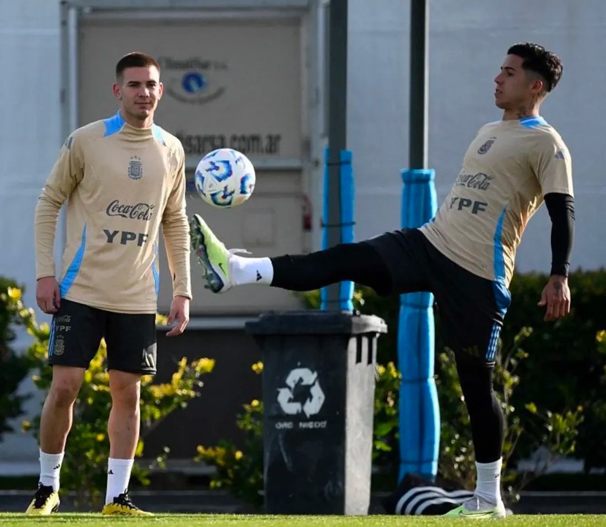 Madrid Zone tweet media