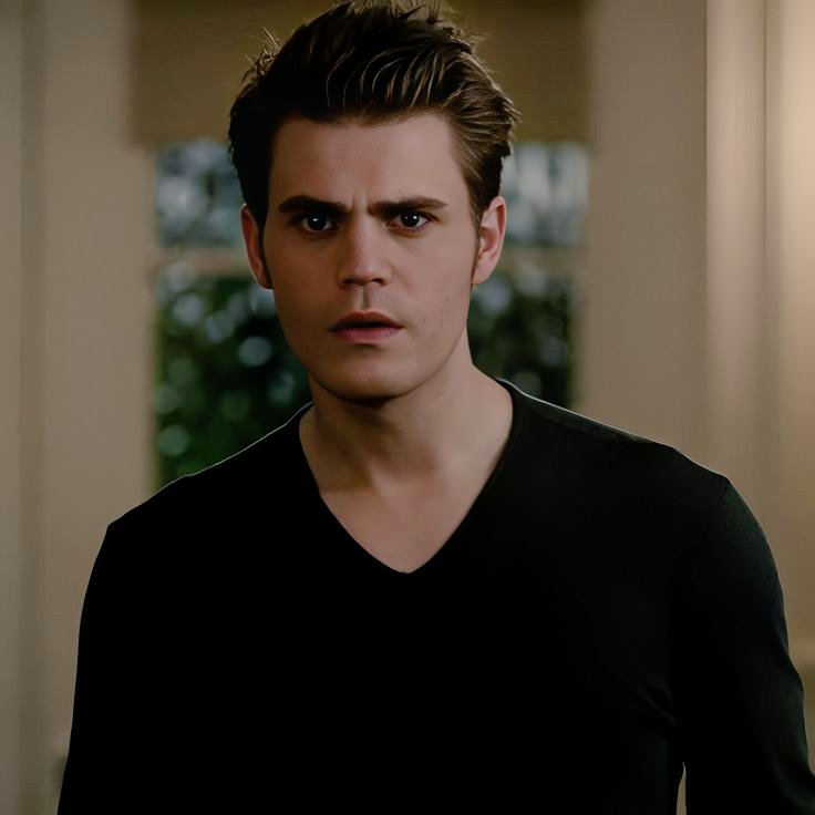 Stefan Salvatore {RP/Fake} tweet media